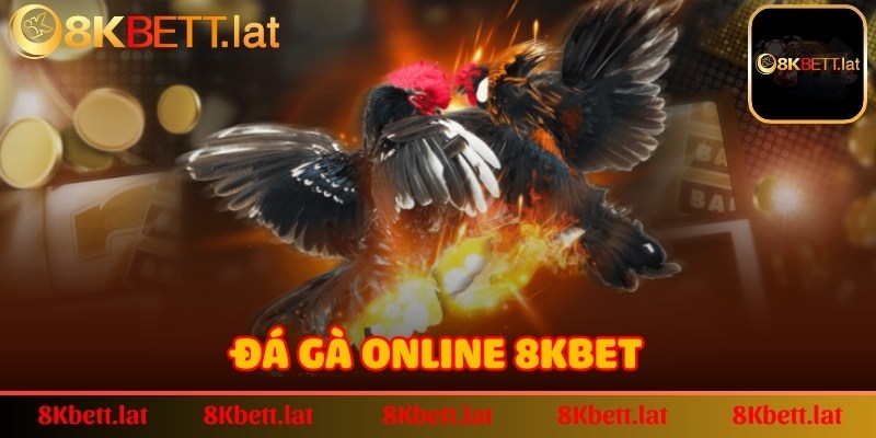 Đá gà online 8Kbet với nhiều trận đấu chiến kê đặc sắc